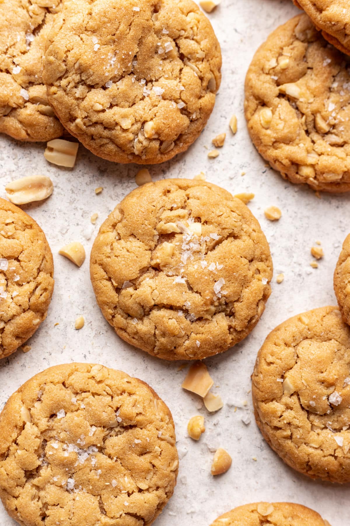 Oatmeal peanut butter cookies 11 12000.jpg